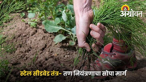 Pre Plant Weed Control In Rainfed Agriculture