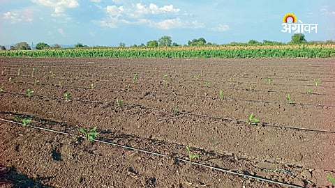 Irrigation planning during monsoon delay