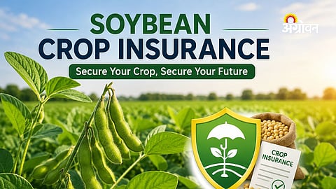 Parbhani farmers crop insurance compensation