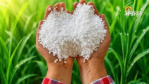 Government action against fertilizer black marketing