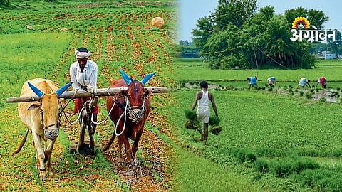 Farmers Income Guarantee