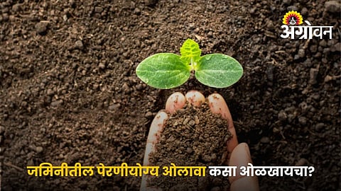 Ideal Soil Moisture For Kharif Crops