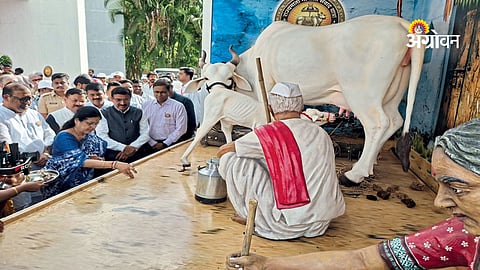 government policies for cattle conservation