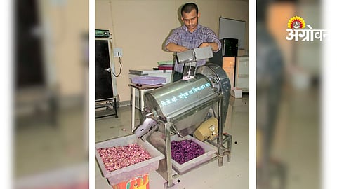 Jamun Processing Equipment