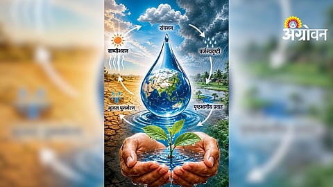 Climate Change Impact