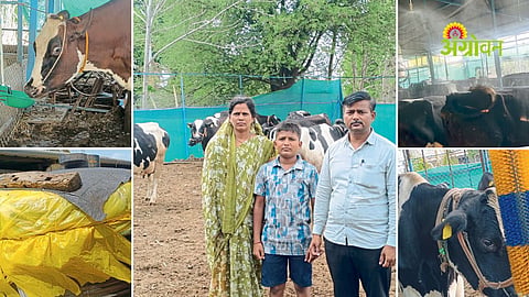 Dairy farming success story in Maharashtra