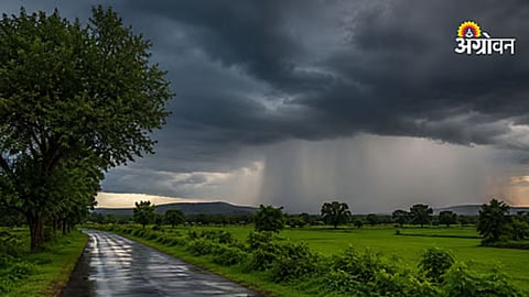 Monsoon Update