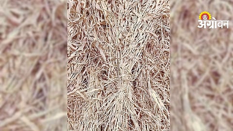 Livestock Fodder Management