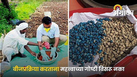 Seed Treatment Guidelines For Kharif Crops