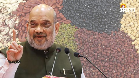 Amit Shah, Pulses Procurement