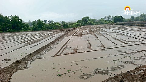 Heavy rainfall in Pune district