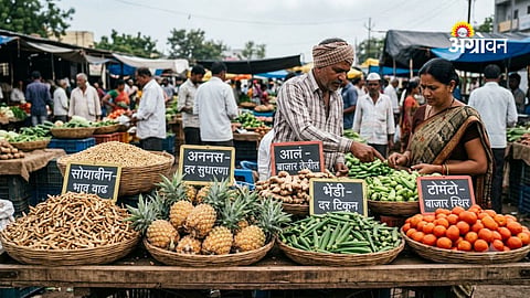 Daily agriculture market report