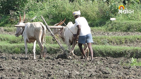 Farm Loan Waiver 