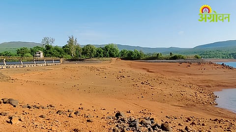 Kolhapur Dams Water Storage