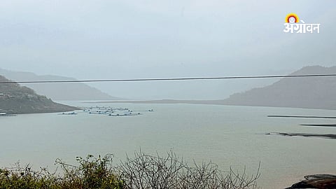 Dimbhe dam rainfall update