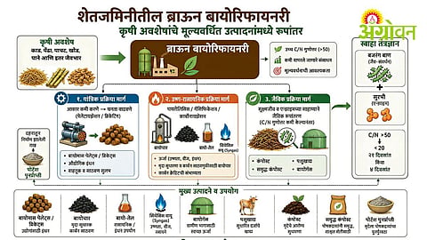 Brown Biorefinery