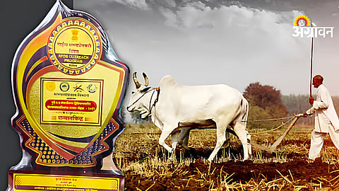 Maharashtra State Agriculture Awards
