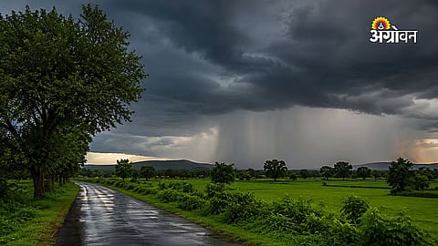 Rain Update In Maharashtra