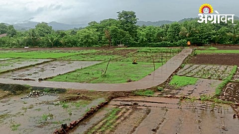 Heavy Rain Continues Across Sindhudurg