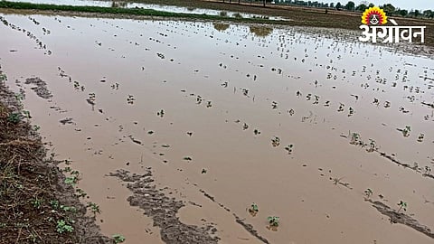 Strong Monsoon Showers Hit Akola Region