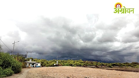 Monsoon Showers Bring Relief to Palghar District