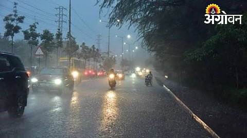 Excess Rainfall Reported in Nine Revenue Circles