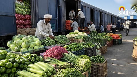 Miraj-Delhi Kisan Rail