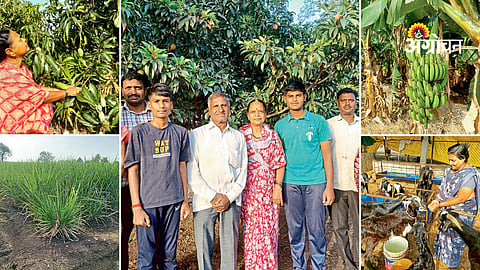 Sustainable farming success story