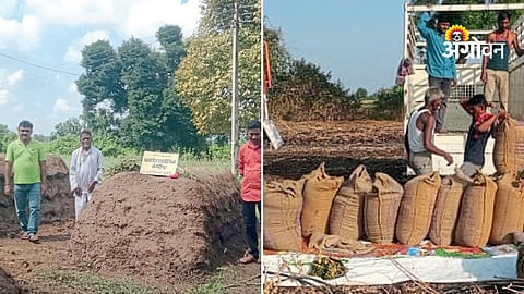 Organic farming success story