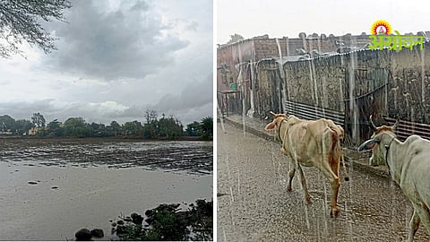 Rain Update