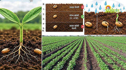 Maharashtra Kharif farming guide