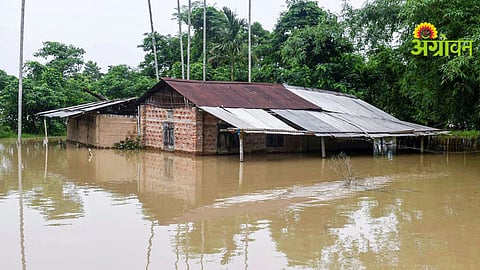 Disaster Management