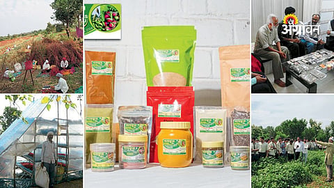 Organic agriculture success story