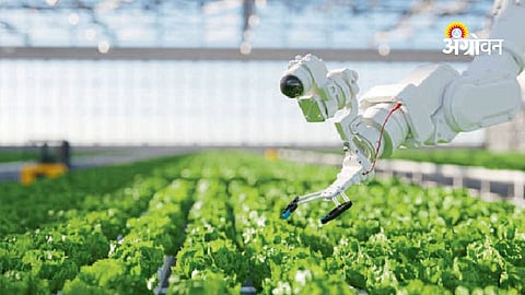 Smart farming using AI and IoT