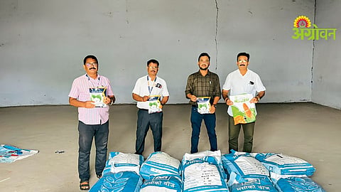 Illegal Seed Stock