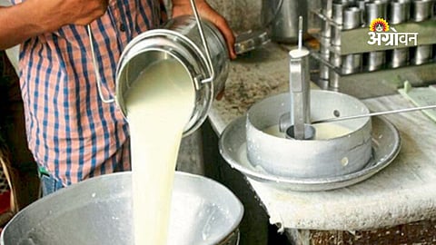 Milk price increase due to adulteration checks