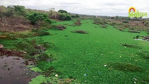 Murbadi River Pollution
