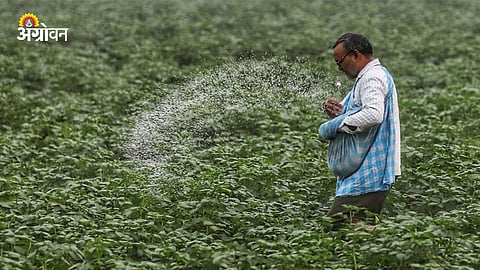 Green Urea Production in India