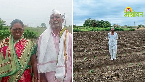 Farming Success Story