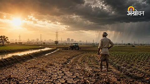 Rain deficit impact on Baramati agriculture