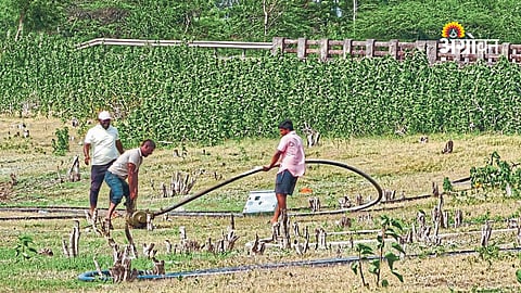 Farmers affected by reservoir water shortage