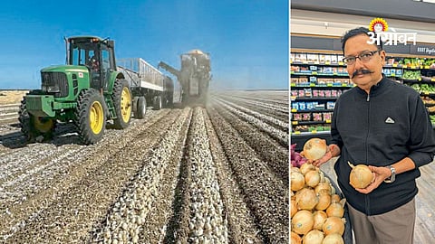 Comparison of onion markets in India and the USA