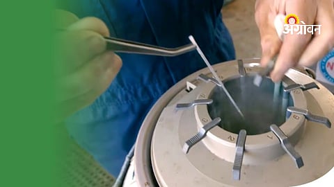 Veterinary services for dairy farmers