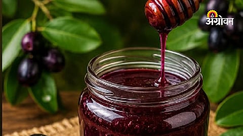 Jamun honey research in Maharashtra