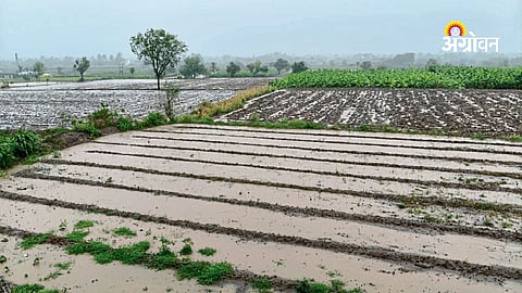 Strong monsoon showers in Pune