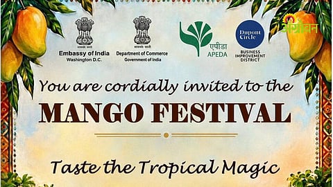 Taste the Tropical Magic mango festival
