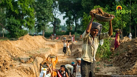 El Nino impact on rural employment