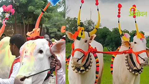 Karhunnavi Festival