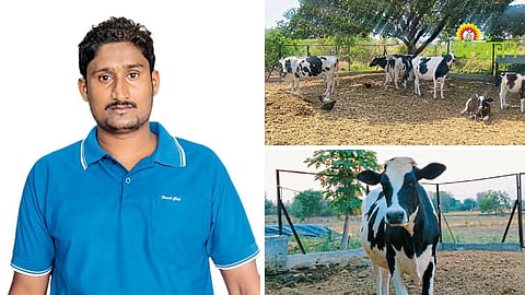 Dairy Farming Success Story