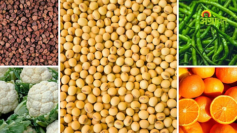 Maharashtra APMC prices today